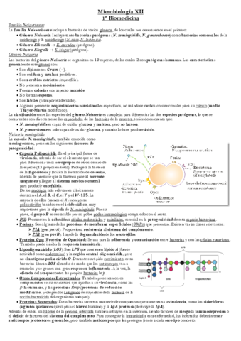 Tema-10-Microbiologia.pdf