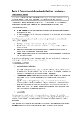 Tema 6. Producción de bebidas alcoholicas y derivados..pdf