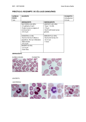 P3-RECOMPTE-CEL-SANGUINIES.pdf