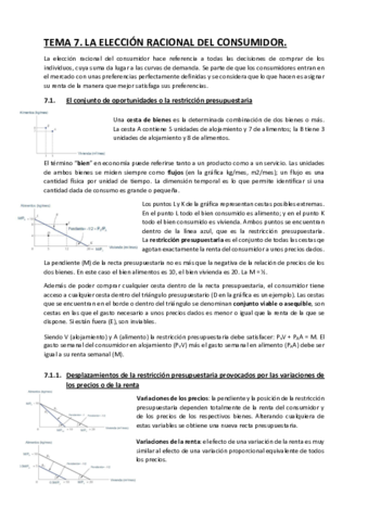 TEMA-7.pdf