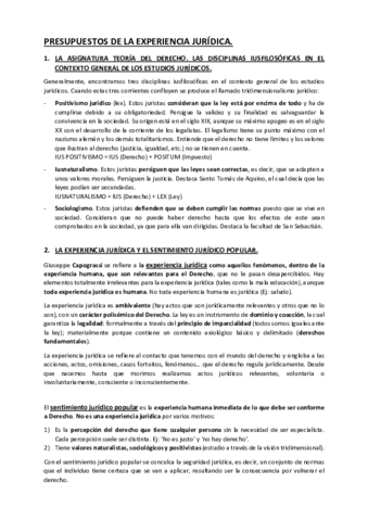 1.-Experiencia-juridica.pdf