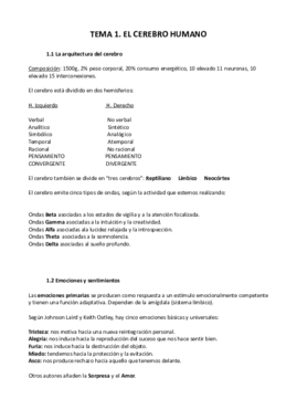 Tema 1. Resúmen.pdf