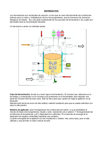 Biorreactor.pdf