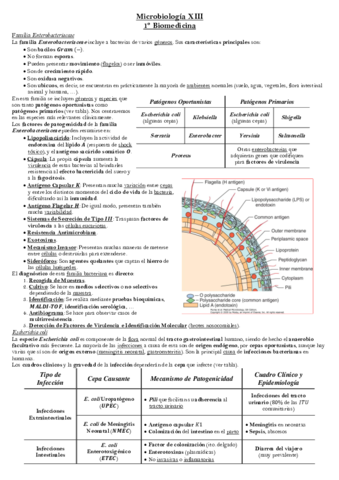 Tema-11-Microbiologia.pdf