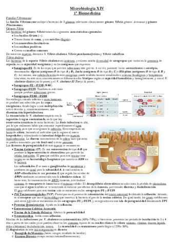 Tema-12-Microbiologia.pdf