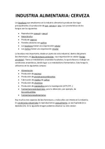 Producción cerveza.pdf