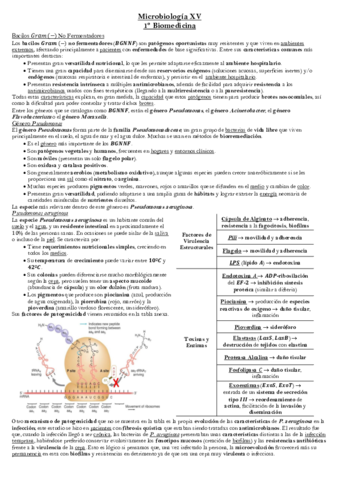 Tema-13-Microbiologia.pdf