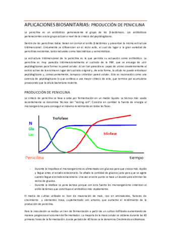 Producción de penicilina.pdf