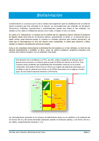 Biolixiviación del cobre.pdf