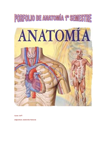 Porfolio-anatomia-1o-semestre.pdf