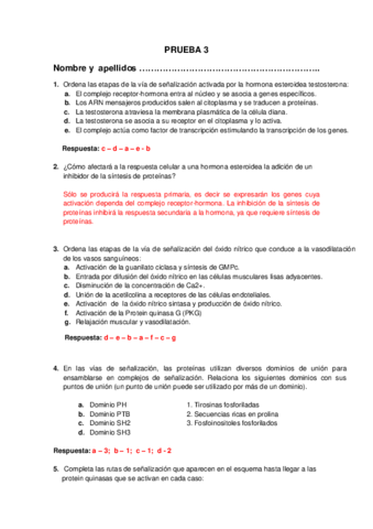 RESPUESTAS-PRUEBA-3.pdf