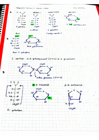 Seminari-2-Glucids-i-lipids.pdf