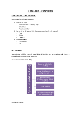 Comi-Histologia-Practiques.pdf