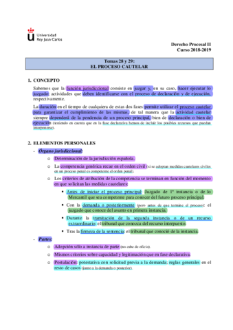 Temas-28-y-29.-Proceso-cautelar.pdf