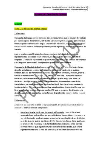 Apuntes-del-Derecho-del-Trabajo.pdf