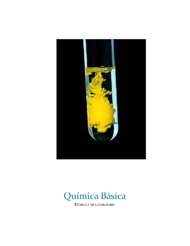 Lab-Quimica-Basica.docx.pdf