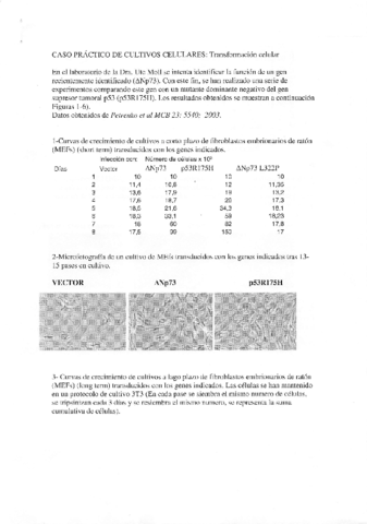 Caso práctico cultivos.pdf