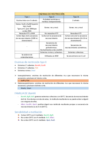 Resumen enzimas de restricción.pdf