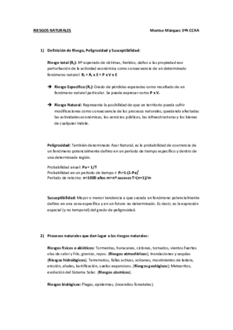 Preguntas-riesgos.pdf