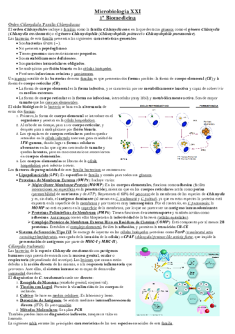 Tema-19-Microbiologia.pdf