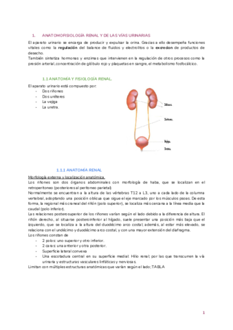 Rinon-anatomia.pdf