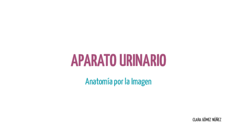 Aparato-urinario.pdf