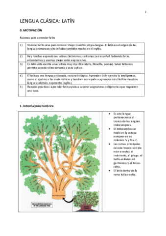 1.-Tema-de-introduccion.-el-Latin.pdf