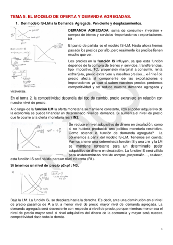 TEMA-5.pdf