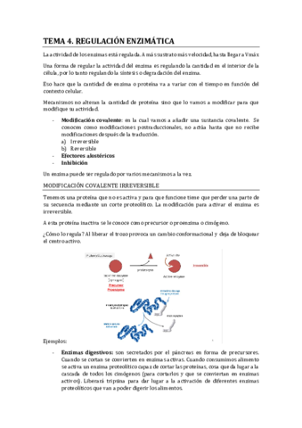 REGULACION-ENZIMATICA1.pdf