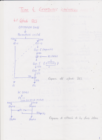 algoritmoscripto.pdf