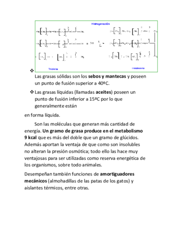 Las-grasas-solidas-son-los-sebos-y-mantecas-y-poseen-un-punto-de-fusion-superior-a-40oC-copia.pdf