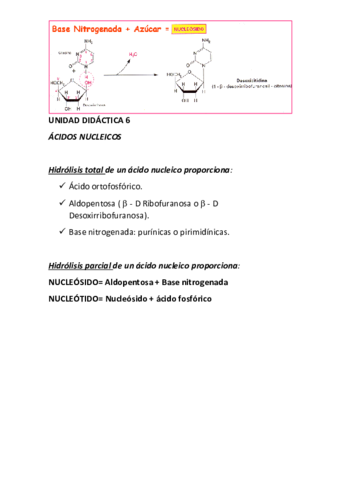 UNIDAD-DIDACTICA-6.pdf