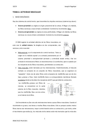 tema-6-pfisc.pdf