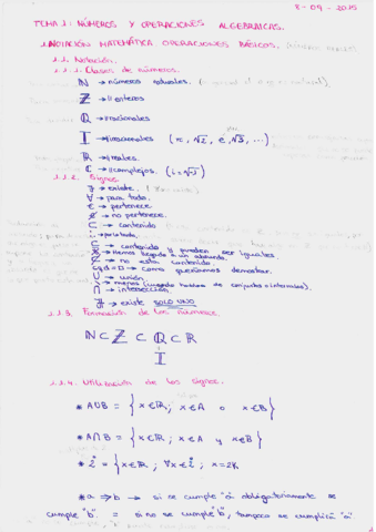 MATEMÁTICAS TEMA 1 Número y operac algebraicas.pdf