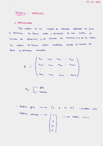 MATEMÁTICAS TEMA 4 Matrices.pdf