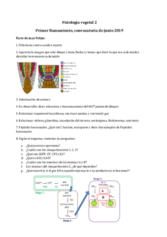 Examen-fisiologia-vegetal2.pdf