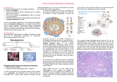 10.-Infeccions-micobacterianes.pdf