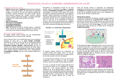 2.-Degeneracio-cellular.pdf