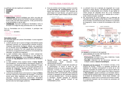 5.-Patologia-Vascular.pdf