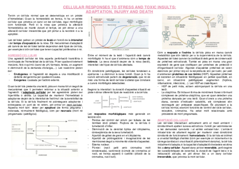 1.-Resposta-cellular-al-estres.pdf