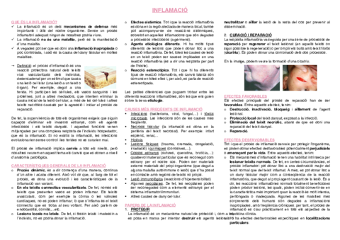 6.-Inflamacio.pdf