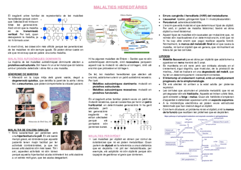 14.-Malalties-hereditaries.pdf