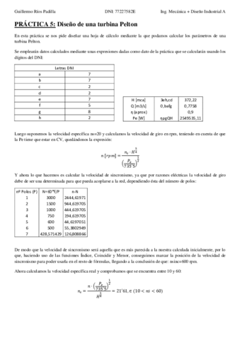 Rios-Padilla-Guillermo-P5.pdf