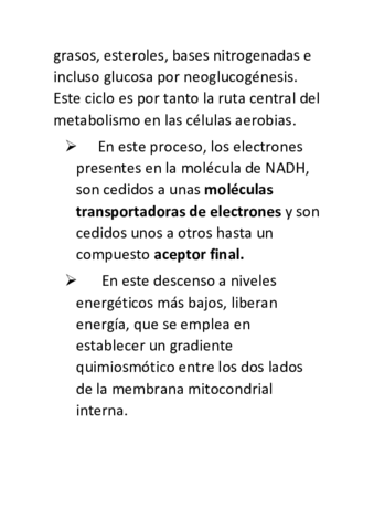 acidos-grasos.pdf