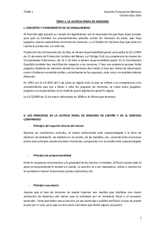 TEMA 1.pdf