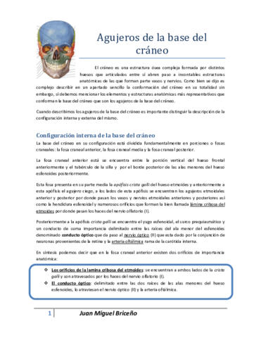 agujerosdelabasedelcrneo.pdf