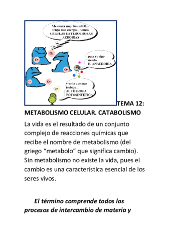 componentes-organulos33.pdf