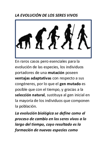 evolucionn.pdf