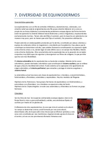 7.-Diversidad-de-equinodermos.pdf