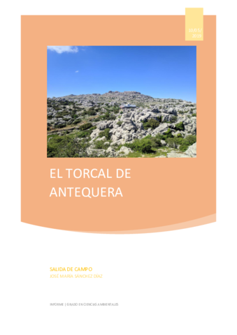 informe-procesos-TORCAL.pdf